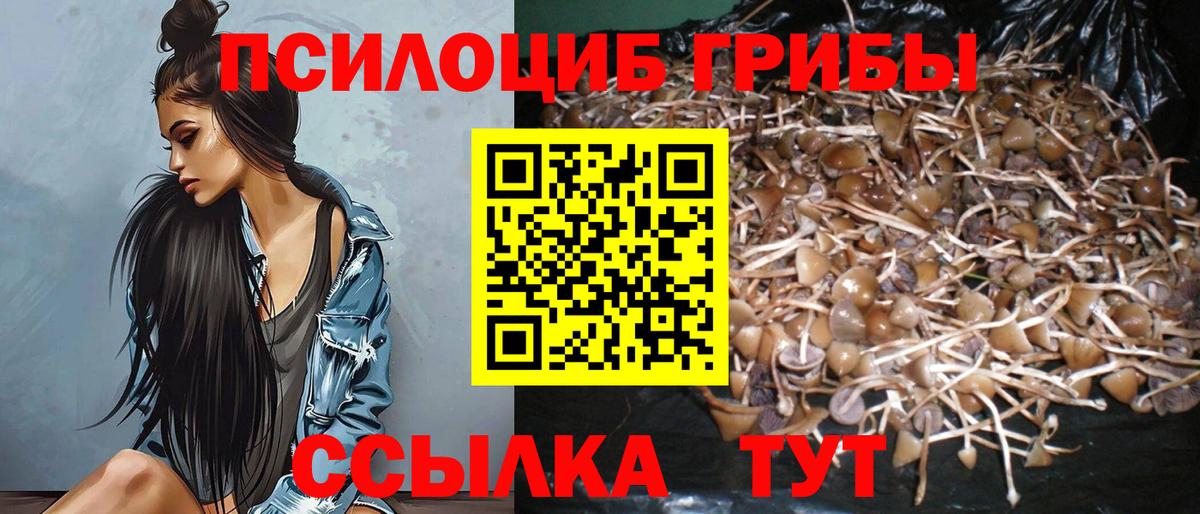 Псилоцибиновые грибы GOLDEN TEACHER Зерноград